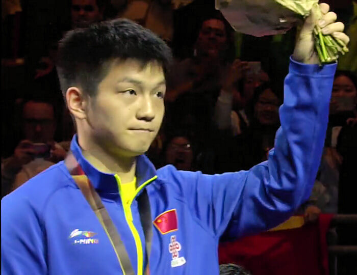Fan Zhendong - Men's Singles Silver Medallist 2017