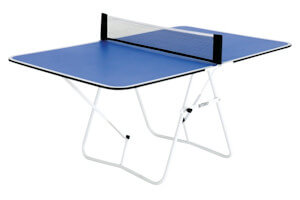 Butterfly Family table tennis table