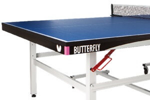 Butterfly logo in capital letters