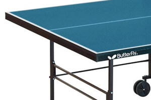 Butterfly logo in lower case letters