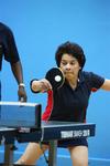 Ellenborough Table Tennis Club