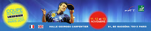 World Cup 2011 logo