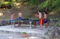 All weather table tennis