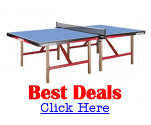 history of table tennis summary