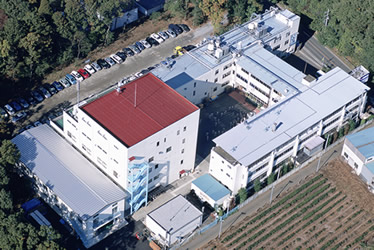 Butterfly Factory in Tokorozawa