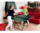 Butterfly Family Table Tennis Table