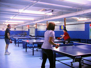 Maine Table Tennis League