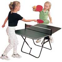 Mini table tennis table